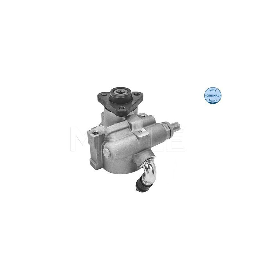 Meyle 214 631 0006 Power Steering Pump For Iveco Daily