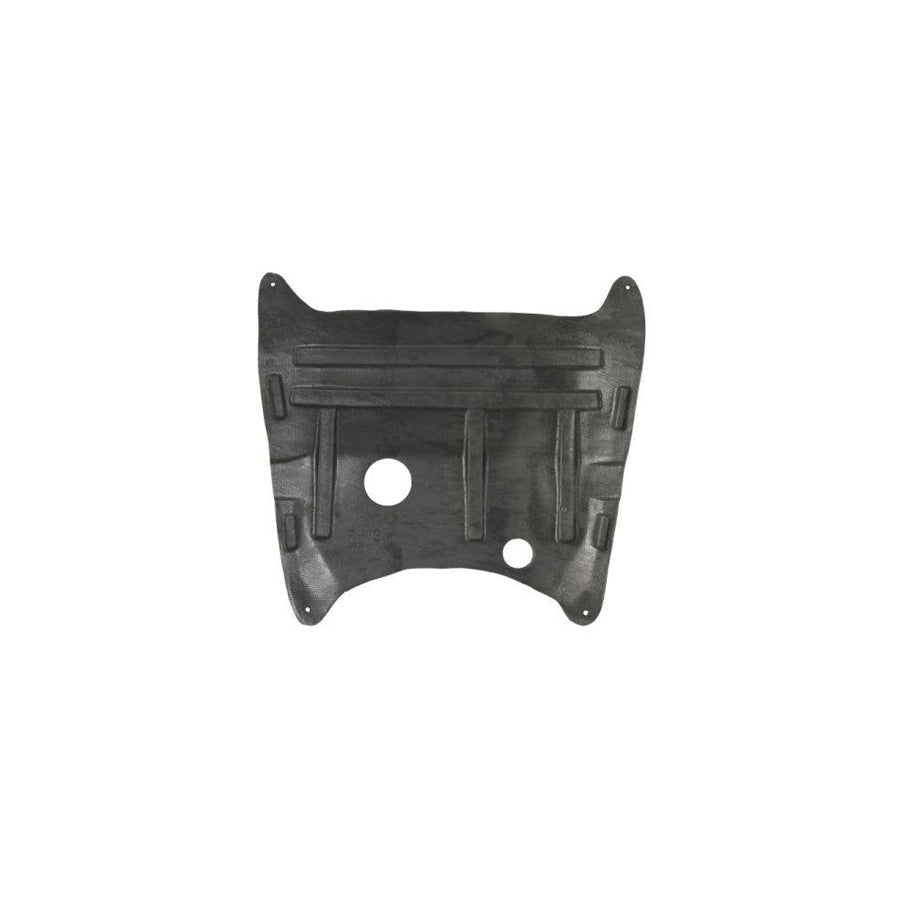 Blic 6601-02-6036860P Engine Cover for Renault 19