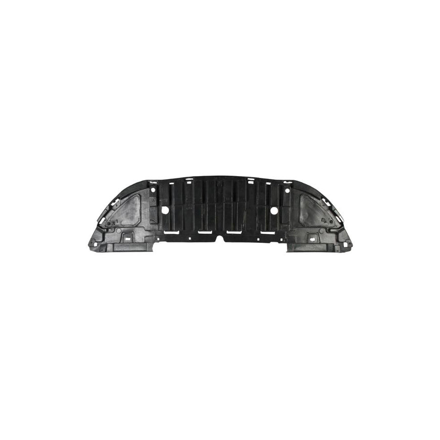 Blic 6601-02-6034880P Skid Plate for Renault Clio