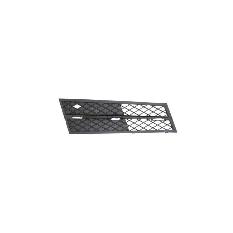 Blic 6502-07-0067918P Bumper Grill for BMW 5 Series