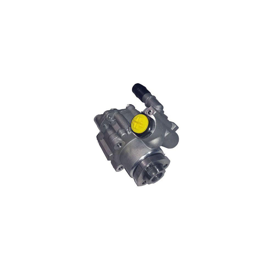 BUGIAD Bsp20746 Power Steering Pump