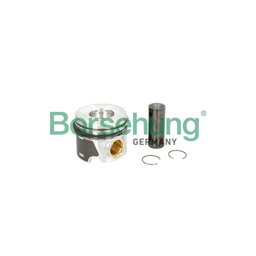 Borsehung B19300 Piston Ring Kit
