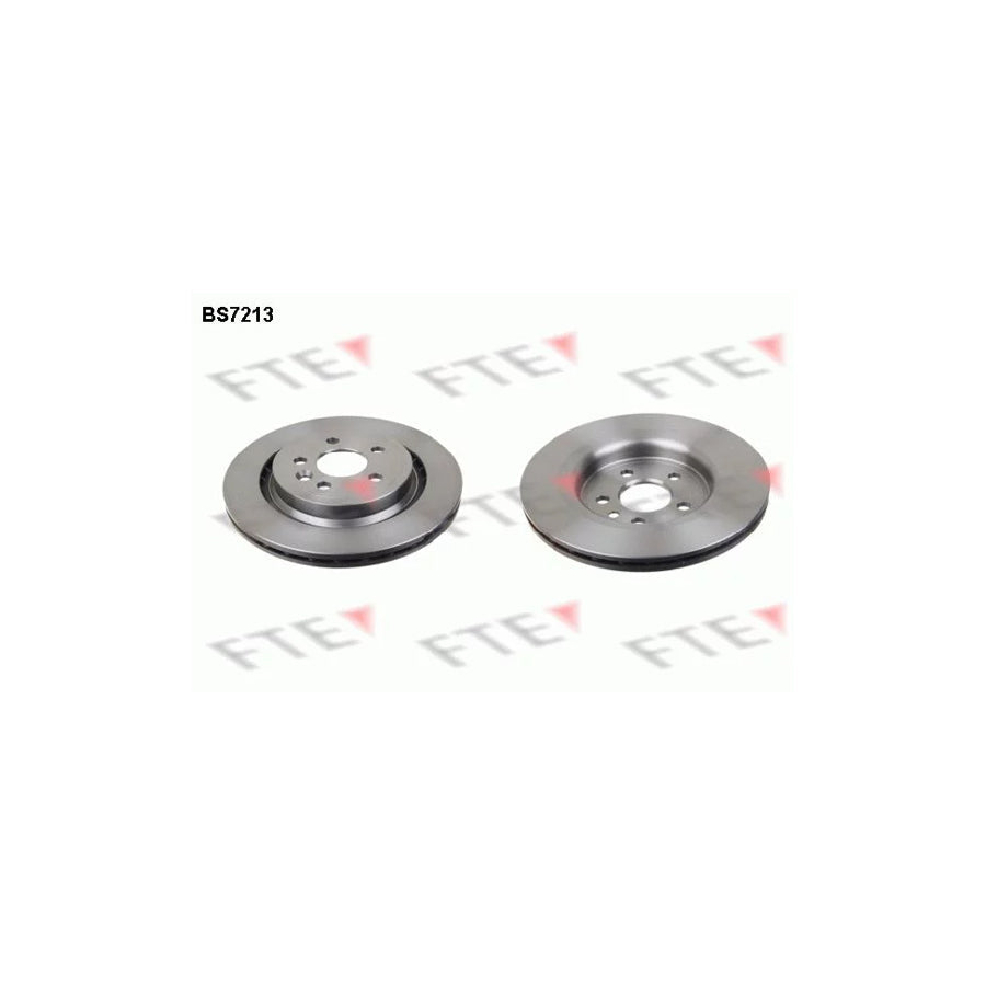 FTE Bs7213 Brake Disc