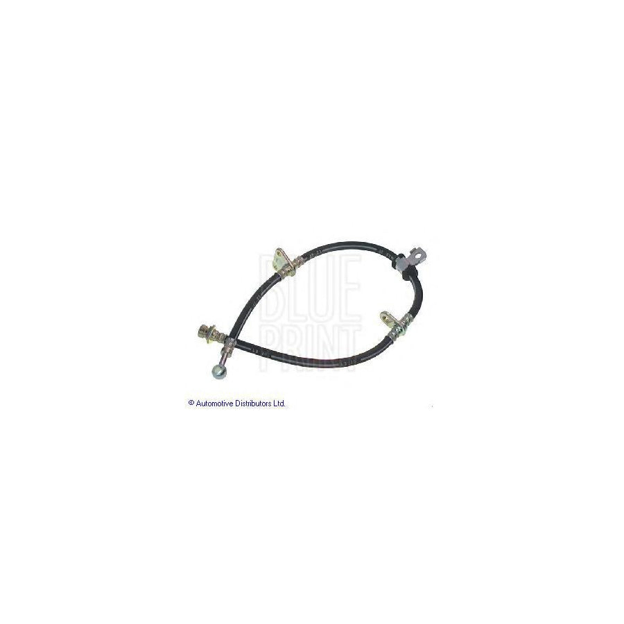 Blue Print Adh25389 Brake Hose for Honda Prelude IV (Bb)