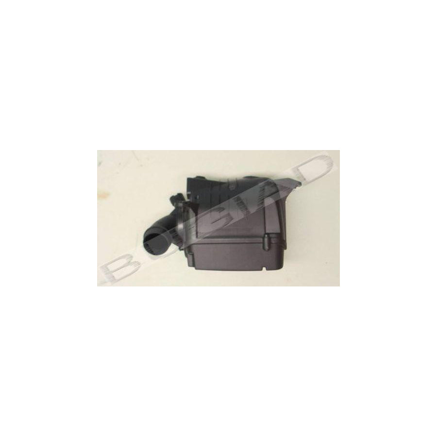 BUGIAD Bsp22340 Air Intake System