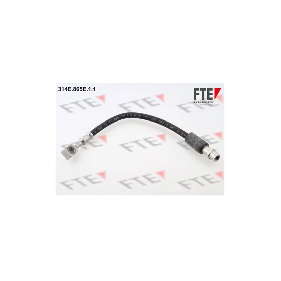 FTE 314E.865E.1.1 Brake Hose