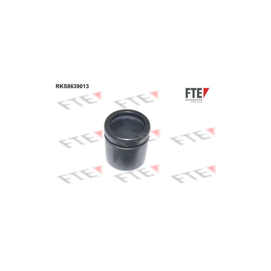 FTE 9314401 Piston, Brake Caliper