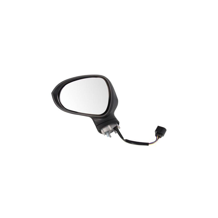 Blic 5402-10-2002297P Wing Mirror for Seat Leon II Hatchback (1P1)