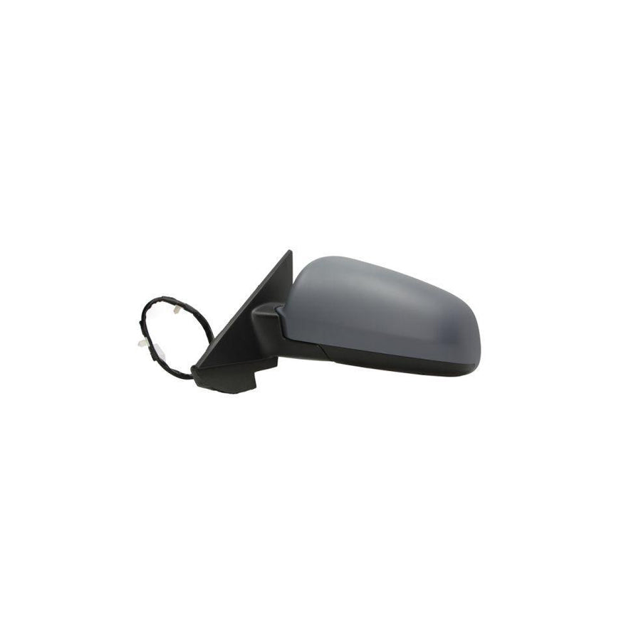 Blic 5402-04-1119590P Wing Mirror for Audi A3
