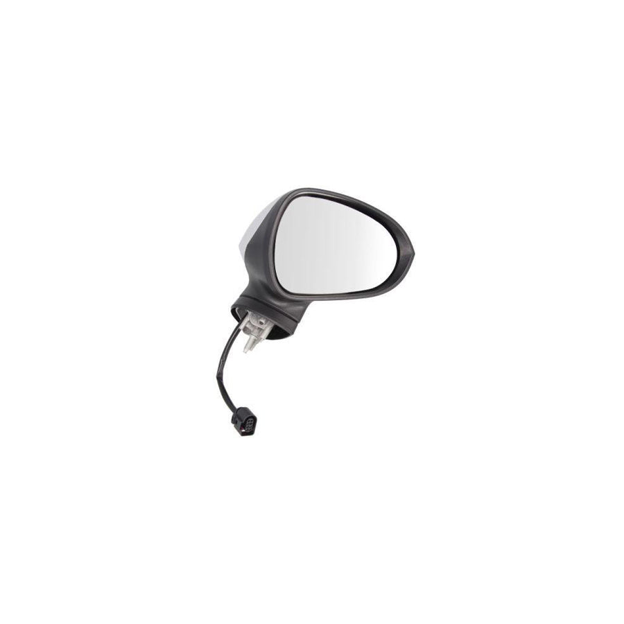 Blic 5402-10-2002296P Wing Mirror for Seat Leon II Hatchback (1P1)