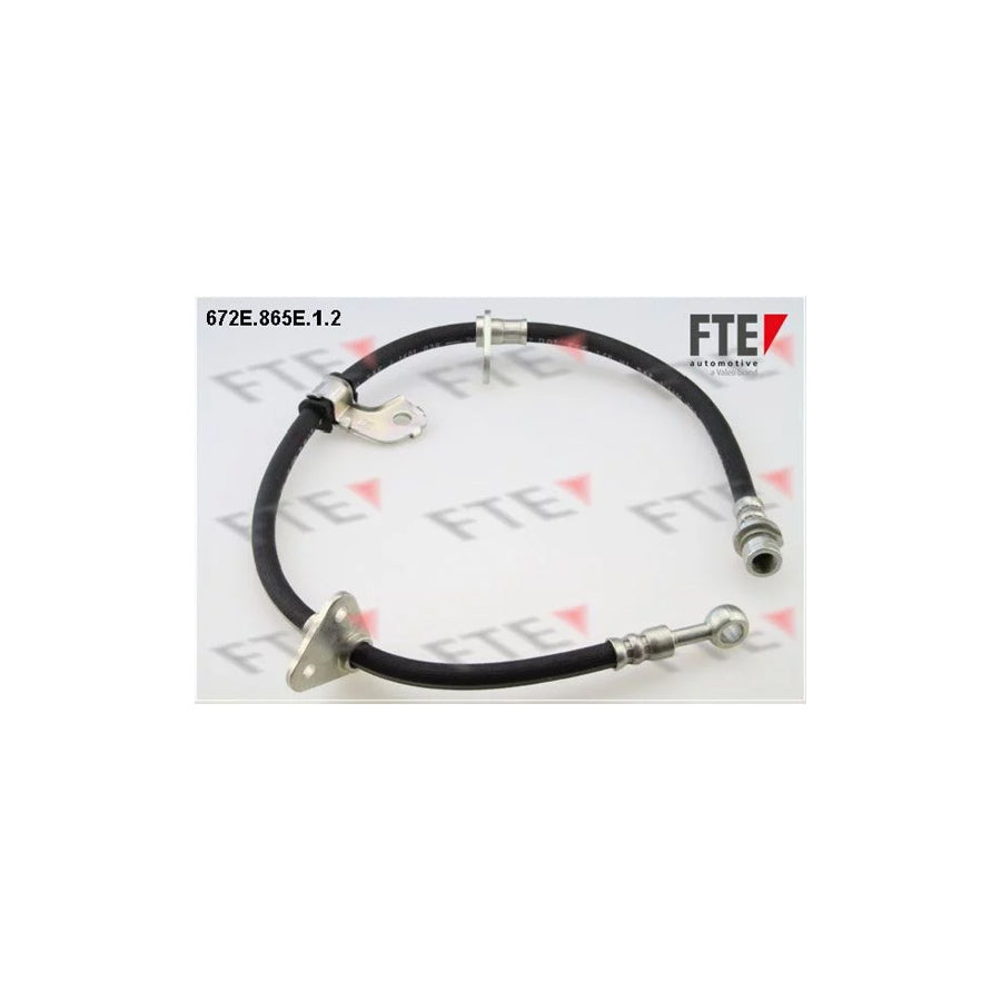 FTE 9240829 Brake Hose