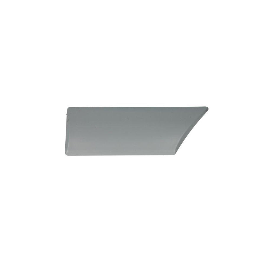 Blic 5703-04-2530476P Trim / Protective Strip, Mudguard for Ford Escort
