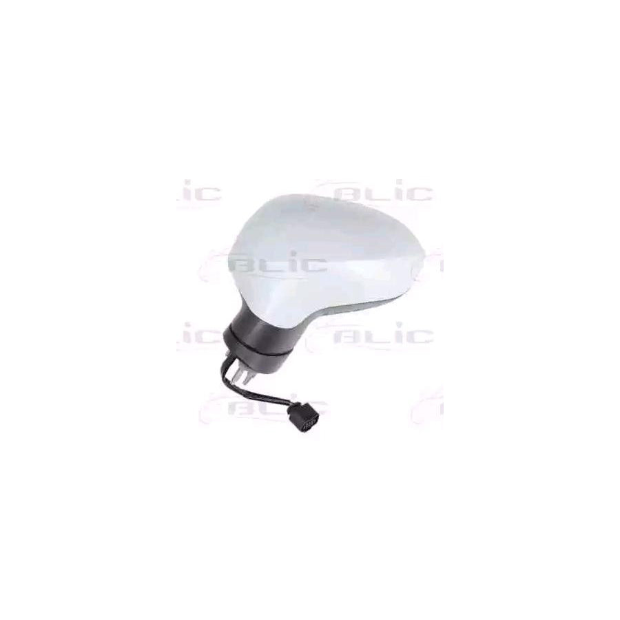 Blic 5402-10-2002295P Wing Mirror for Seat Leon II Hatchback (1P1)