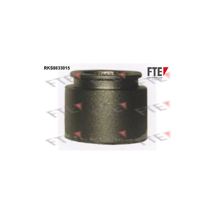 FTE Rks8633015 Piston, Brake Caliper