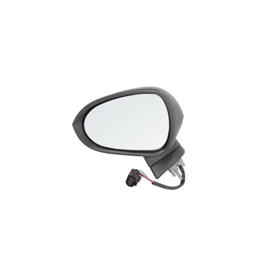Blic 5402-10-2002293P Wing Mirror for Seat Leon II Hatchback (1P1)