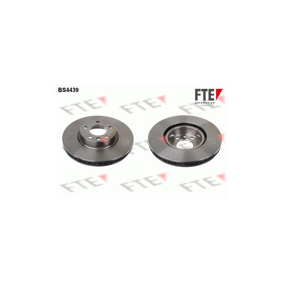 FTE Bs4439 Brake Disc