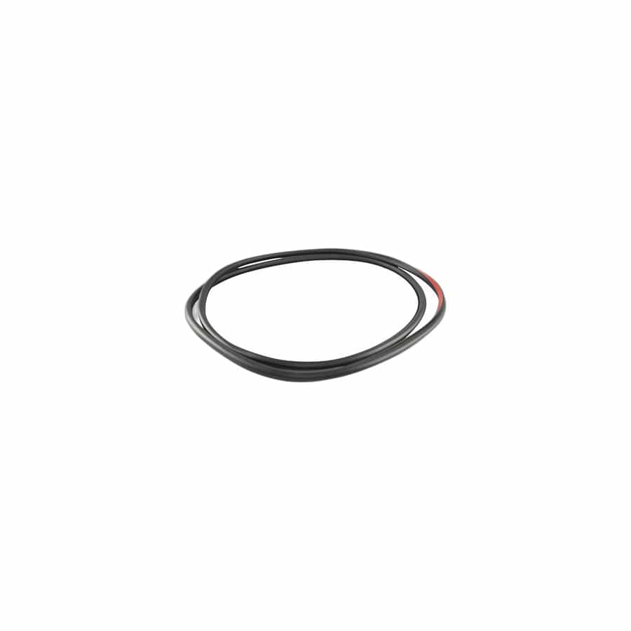 Genuine BMW 51357377416 F31 Door Weatherstrip Rear Right (Inc. 328dX, 340i & 330i)