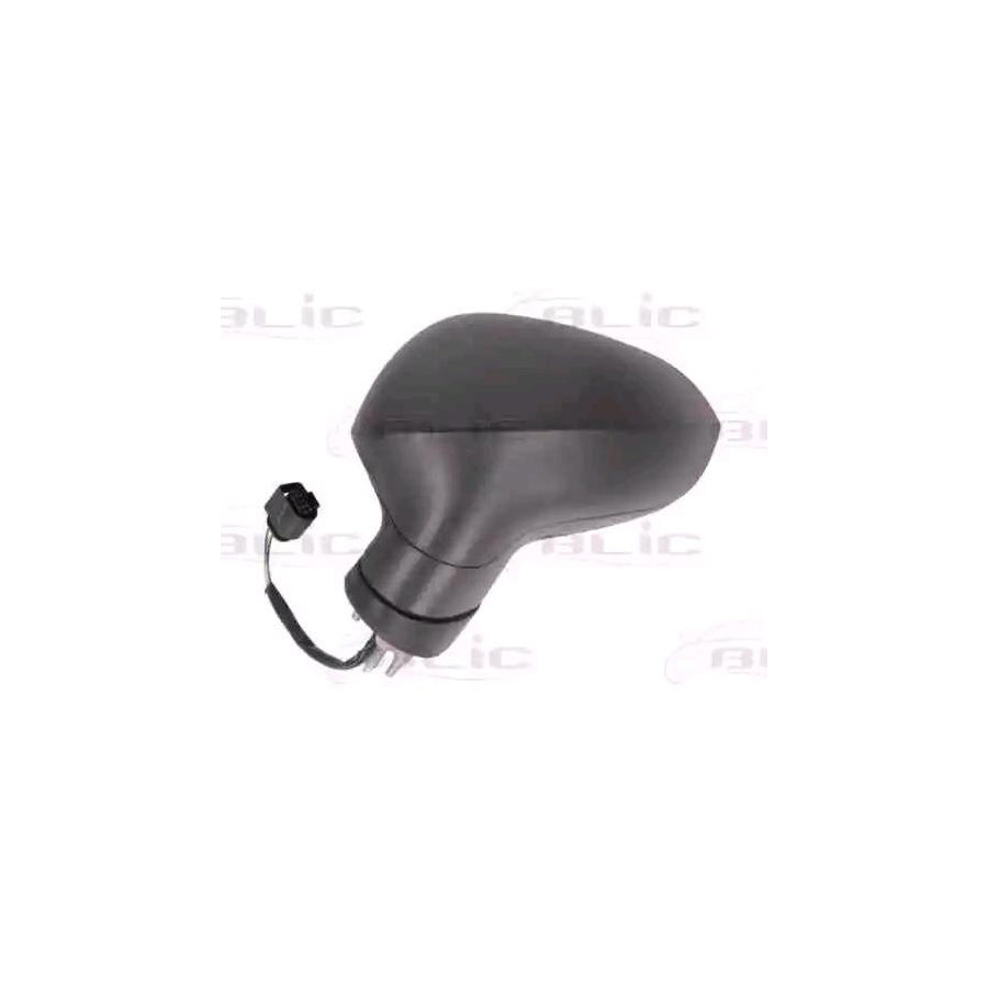 Blic 5402-10-2002291P Wing Mirror for Seat Leon II Hatchback (1P1)