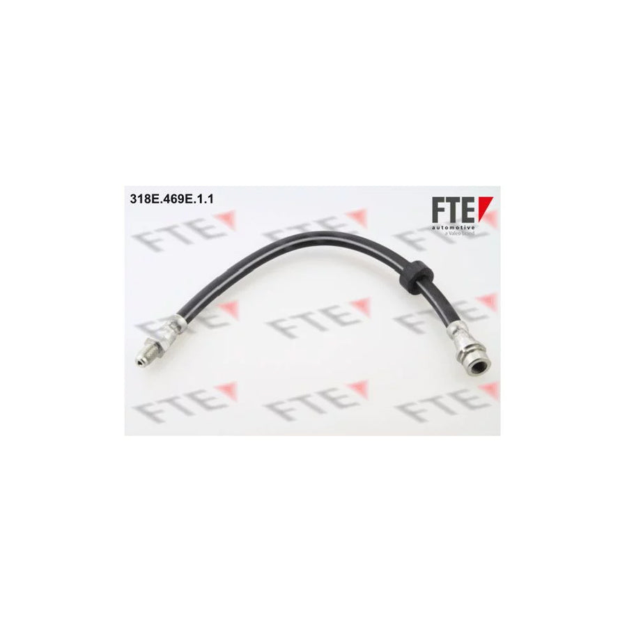 FTE 318E.469E.1.1 Brake Hose