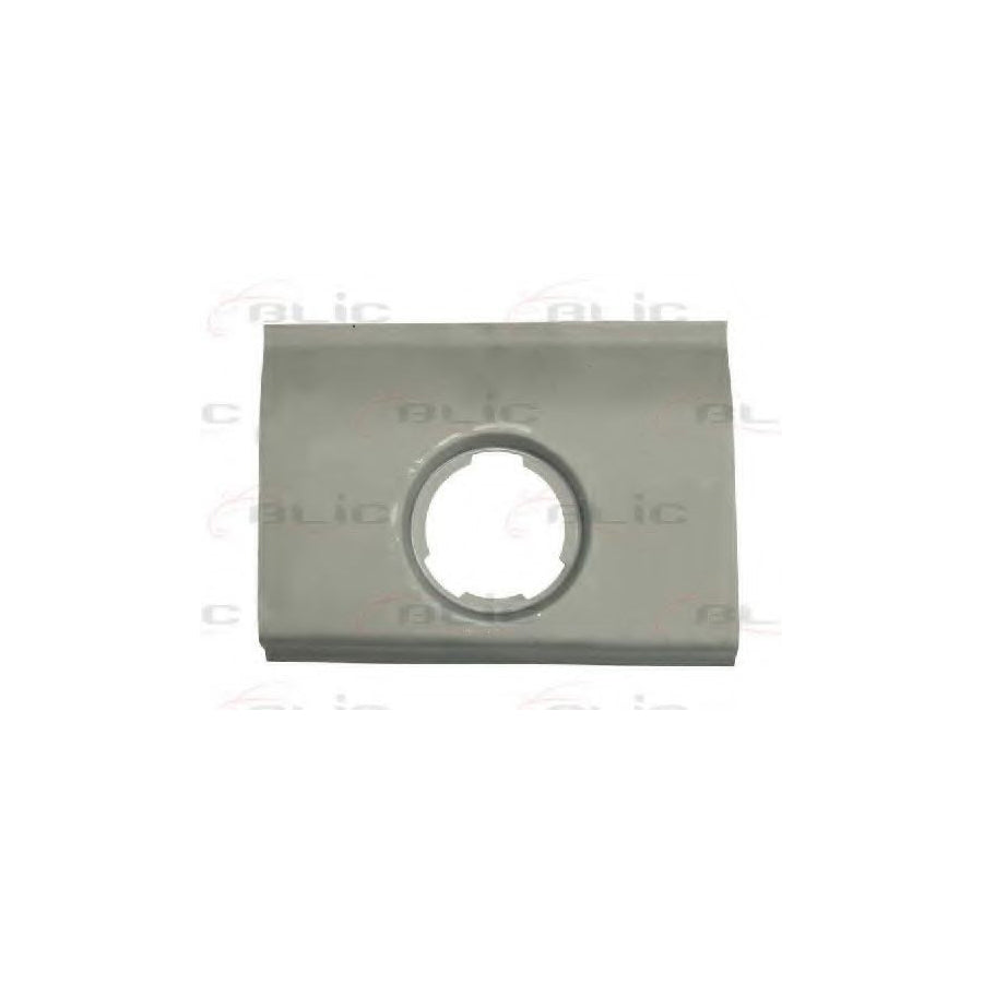Blic 6508-02-2530523P Sidewall