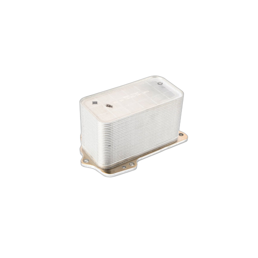 Genuine BMW 11428583901 G29 G20 G05 Heat Exchanger (Inc. 740Li, 440iX & X7 30dX)