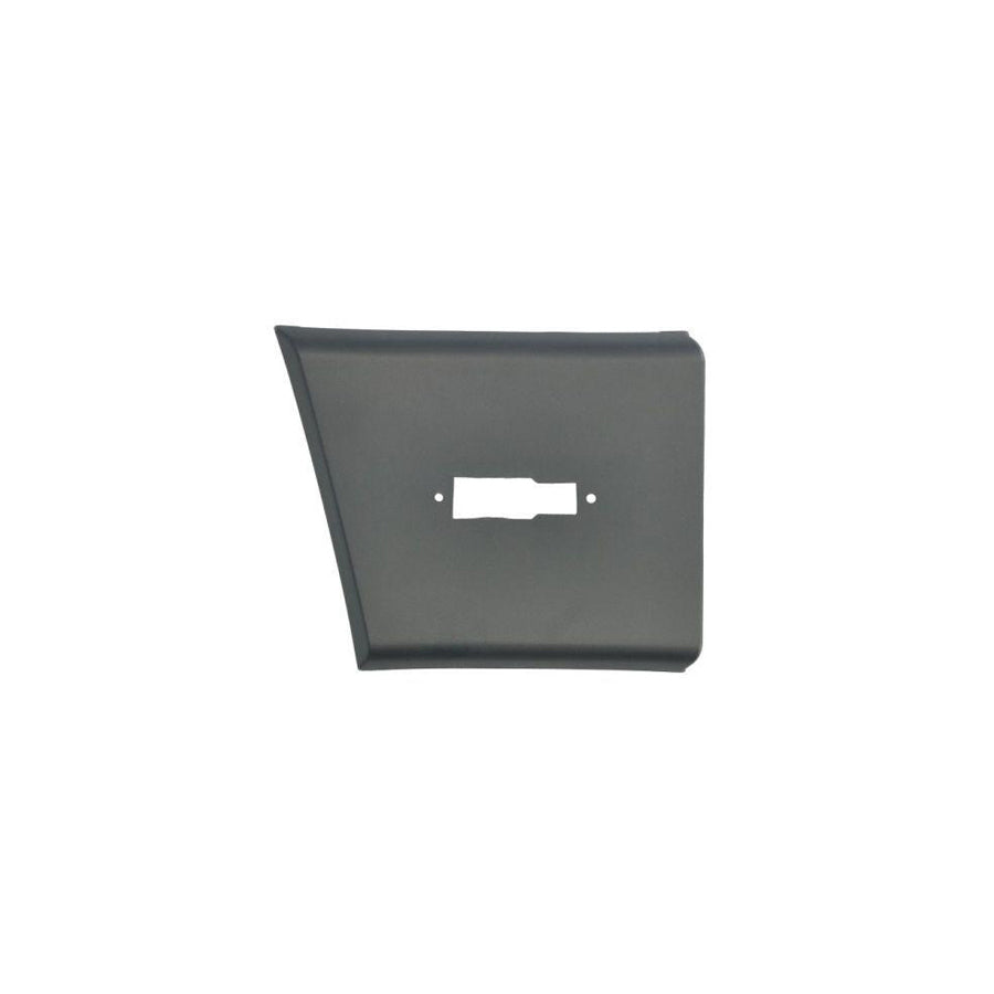 Blic 5703-04-2098478P Trim / Protective Strip, Mudguard for Fiat Ducato