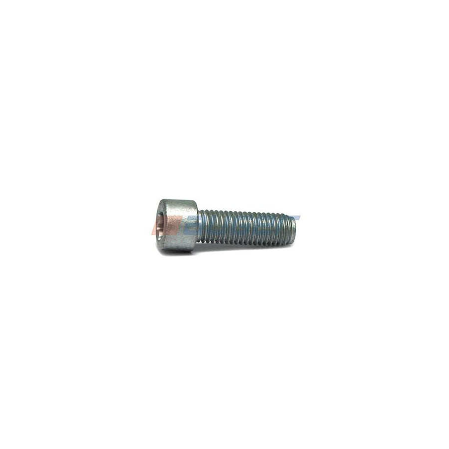 Auger 114647 Screw