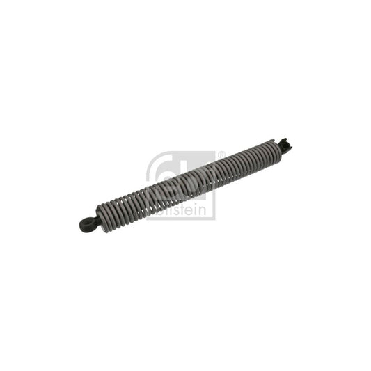 Febi Bilstein 47075 Tailgate Strut