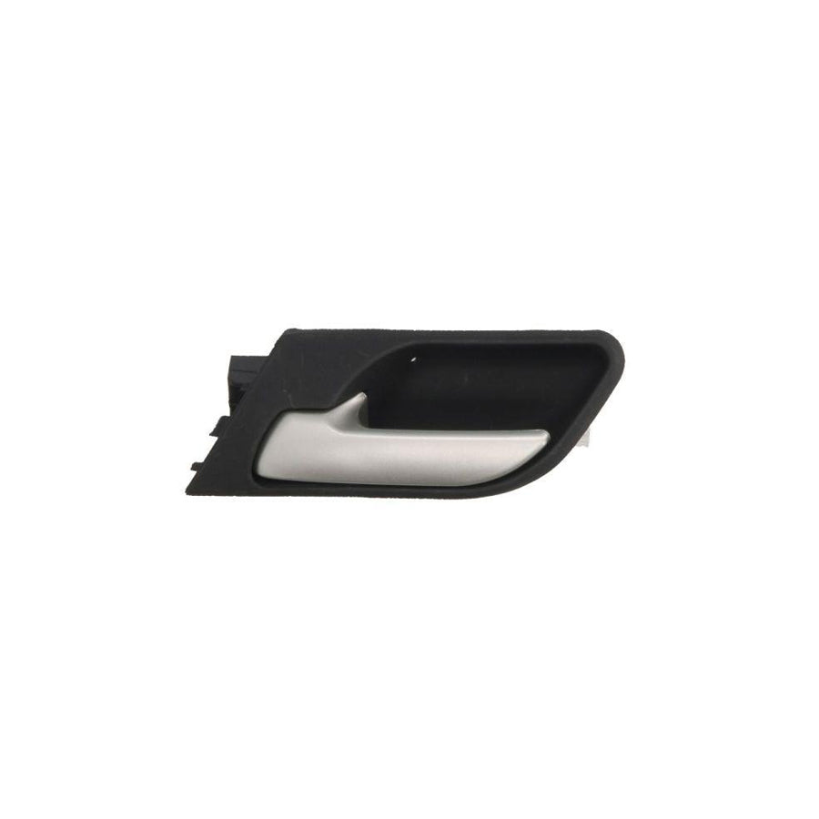 Blic 6010-05-014409Tp Door Handle for BMW X5 (E53)