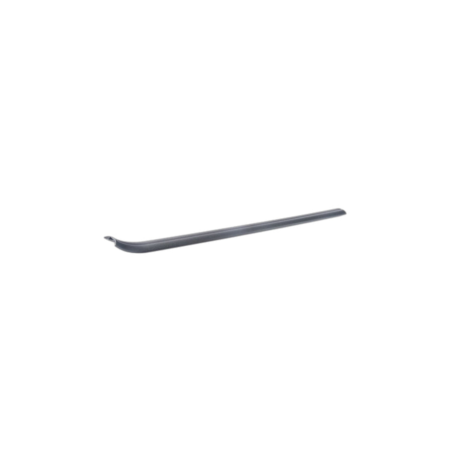 Genuine BMW 51476981706 E81 E88 E82 Cover Strip, Entrance, Interior, Right SCHWARZ (Inc. 123d, 116d & 128i)