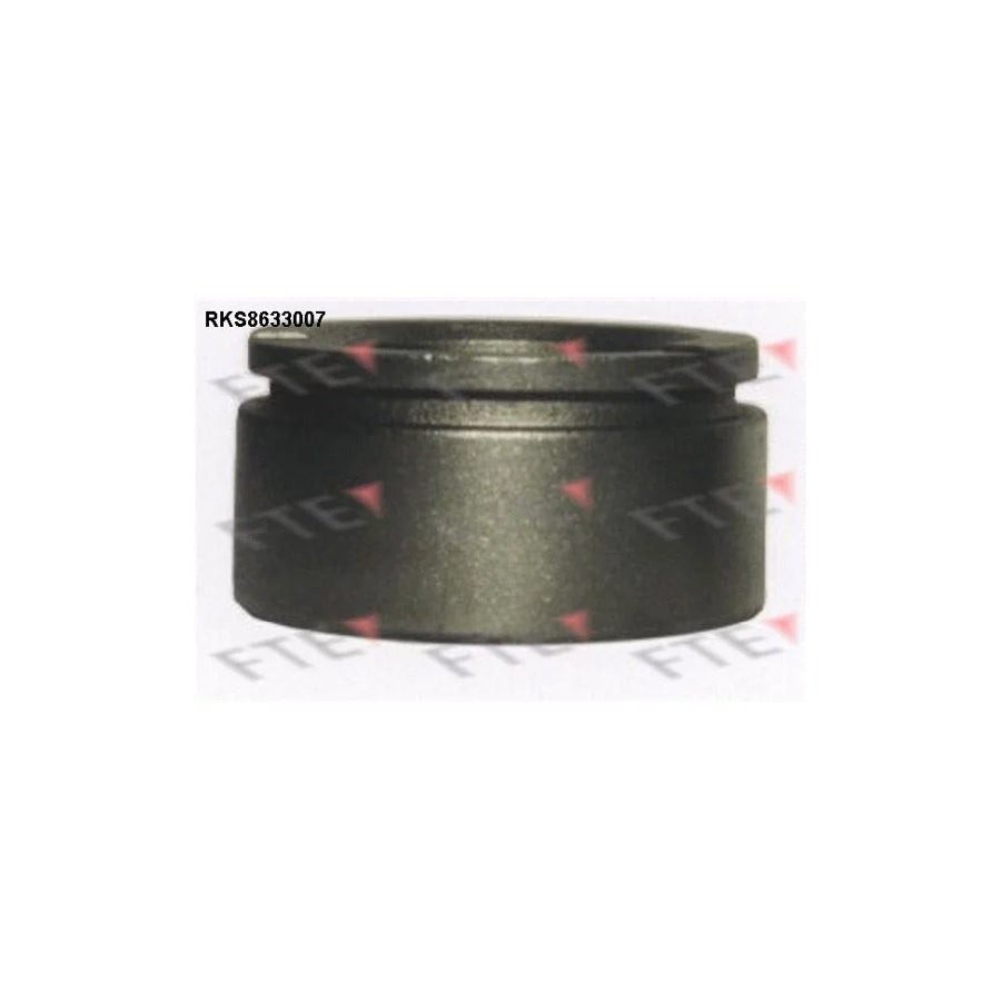 FTE Rks8633007 Piston, Brake Caliper