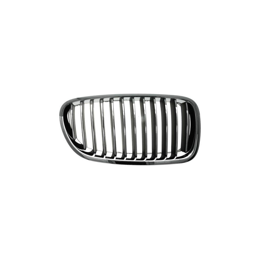 Blic 6502-07-0067994Q Radiator Grille for BMW 5 Series