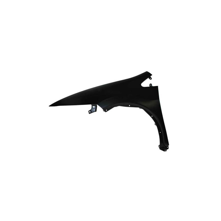 Blic 6504-04-2939311P Wing Fender for Honda CIVIC VIII Hatchback (Fn, Fk)