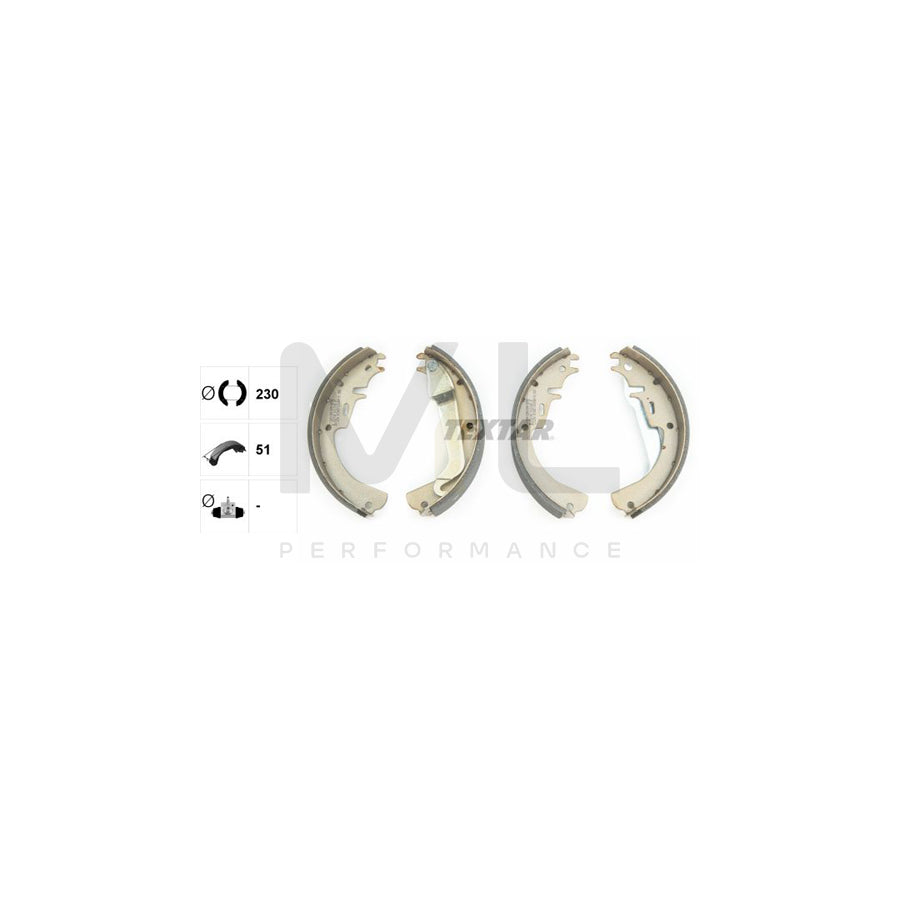 TEXTAR 91012100 Brake Shoe Set with handbrake lever