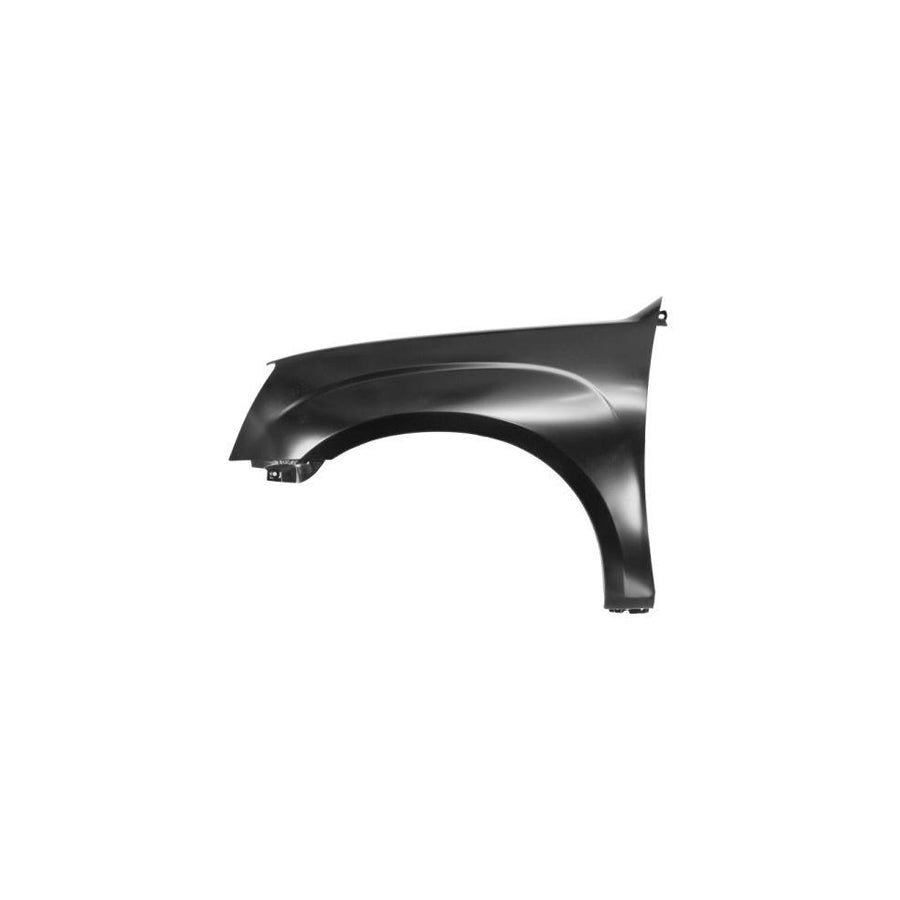 Blic 6504-04-3053313P Wing Fender for Isuzu D-Max I Pickup (Tfr, Tfs)
