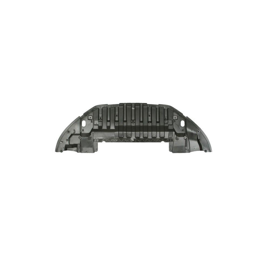 Blic 6601-02-6040880P Skid Plate for Renault Talisman