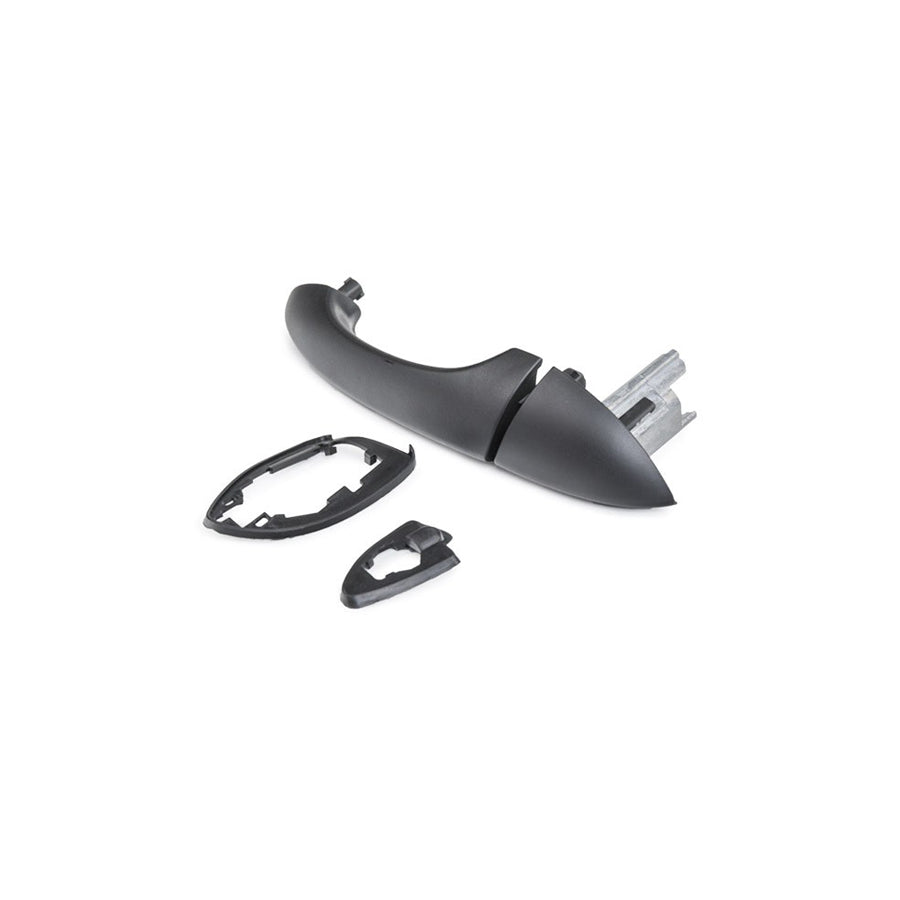 Blic 6010-05-014403P Door Handle for BMW X5 (E53)