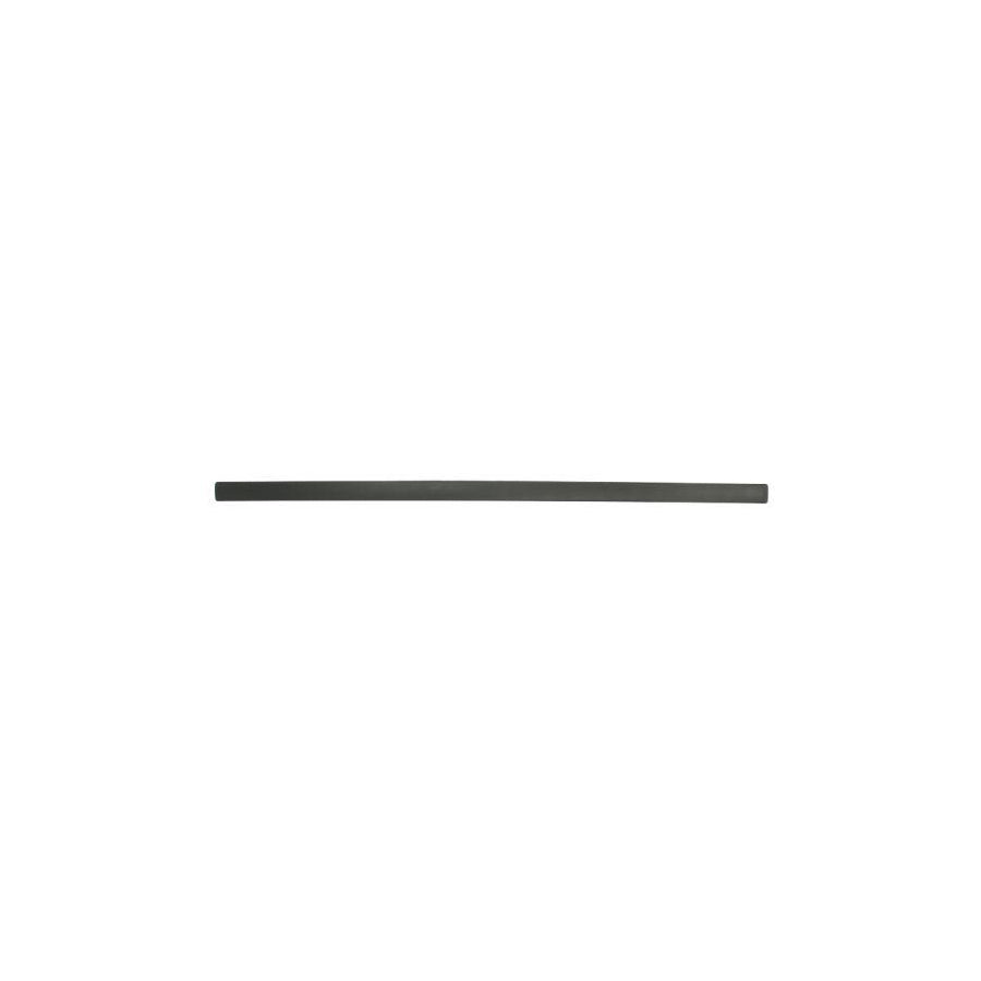 Blic 5703-04-2533572P Door Molding for Ford Focus