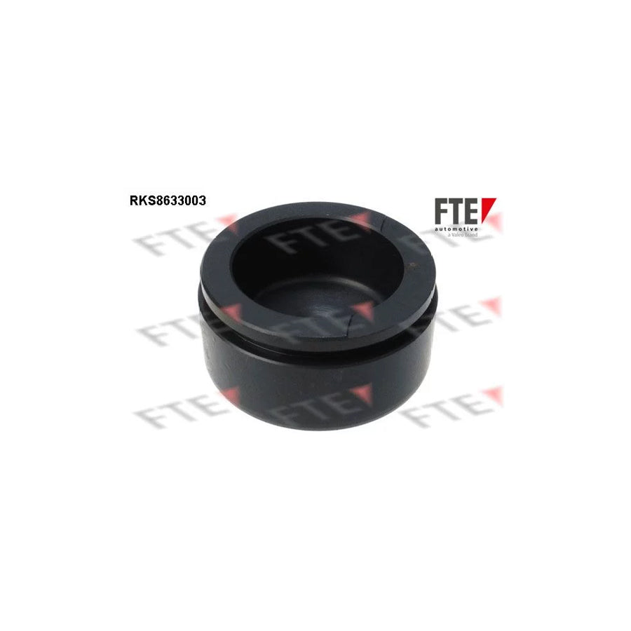 FTE Rks8633003 Piston, Brake Caliper