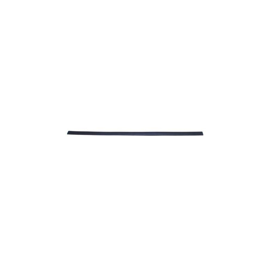 Blic 5703-04-2533571P Door Molding for Ford Focus