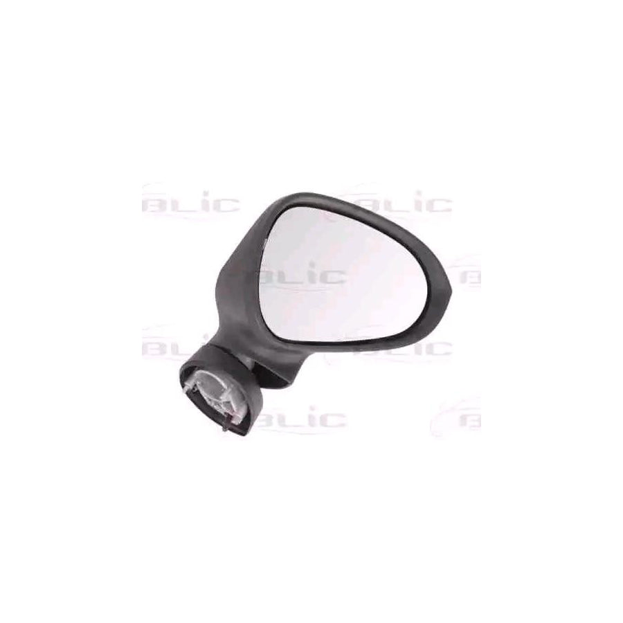 Blic 5402-10-2002288P Wing Mirror for Seat Ibiza