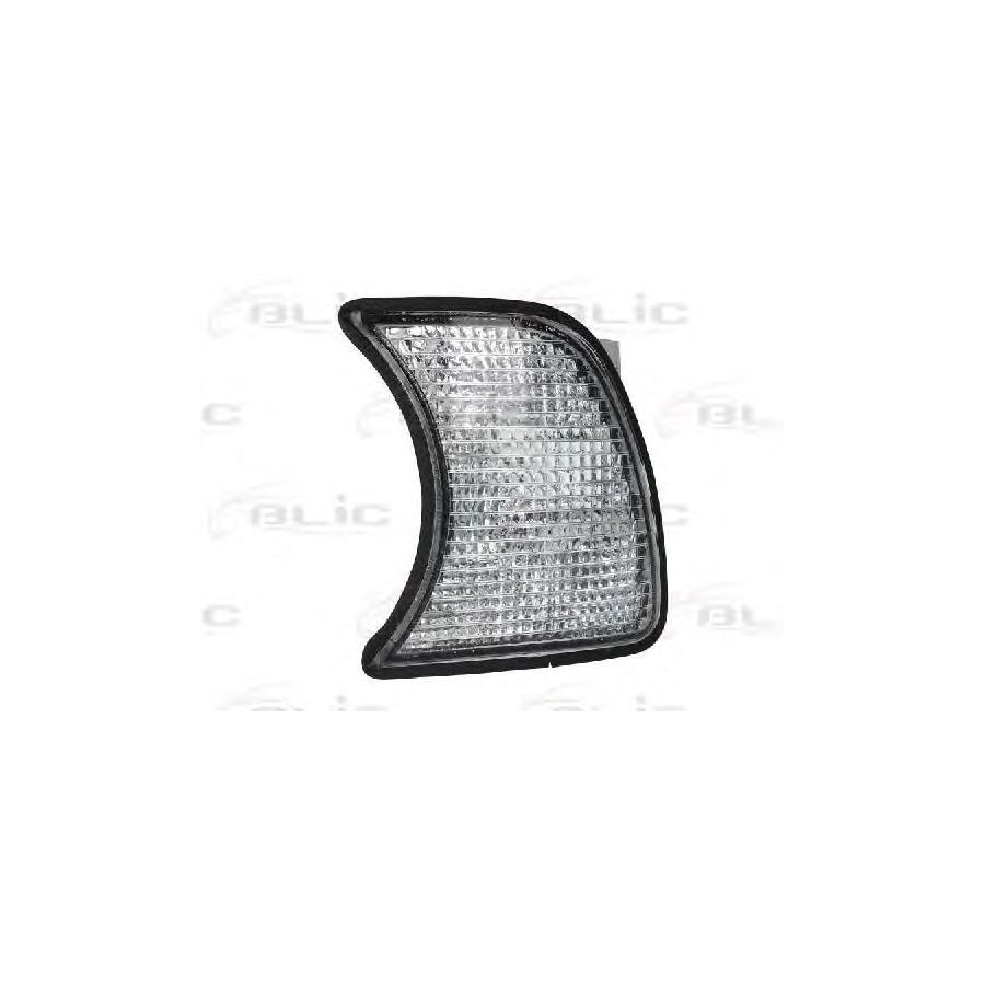 Blic 5403-05-006101C Side Indicator for BMW 5 Series
