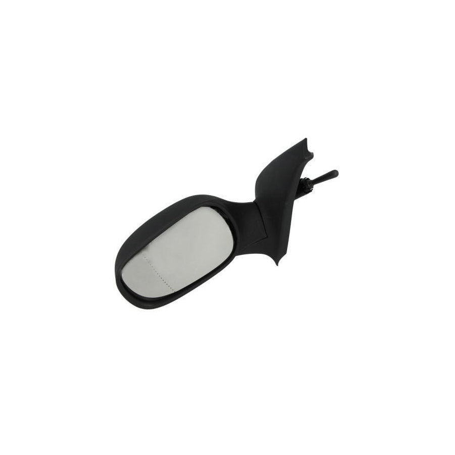 Blic 5402-04-1191112P Wing Mirror for Renault Clio