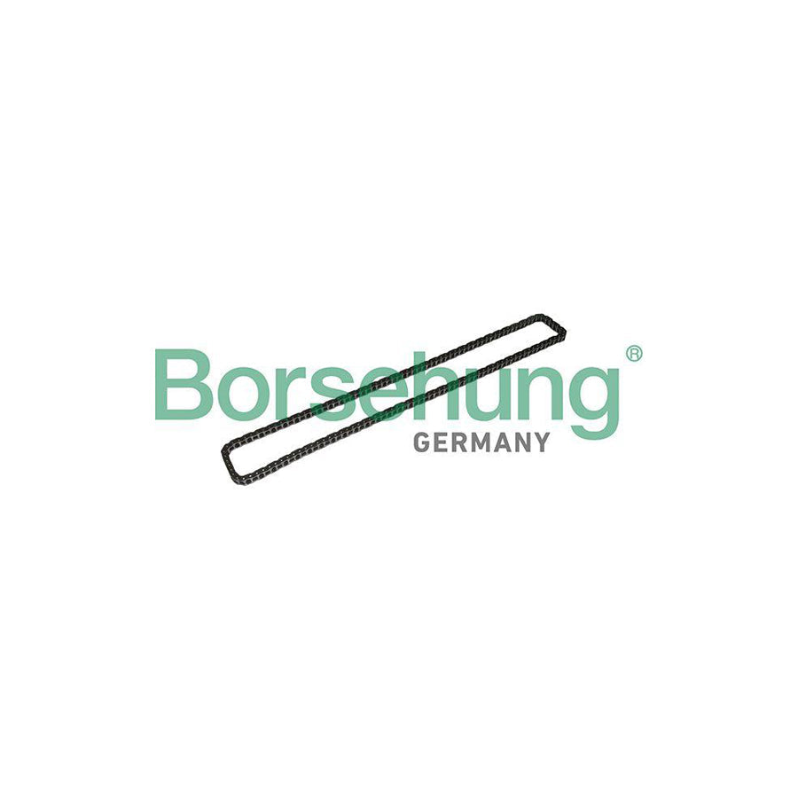 Borsehung B1C023 Timing Chain