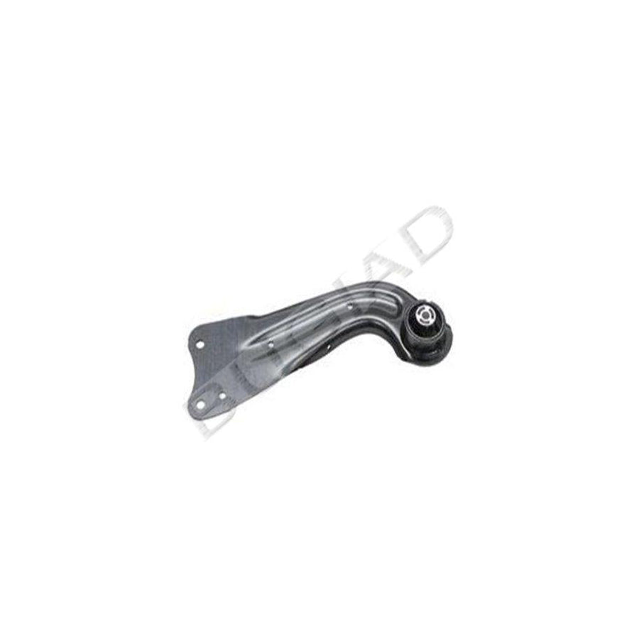 BUGIAD Bsp20774 Suspension Arm