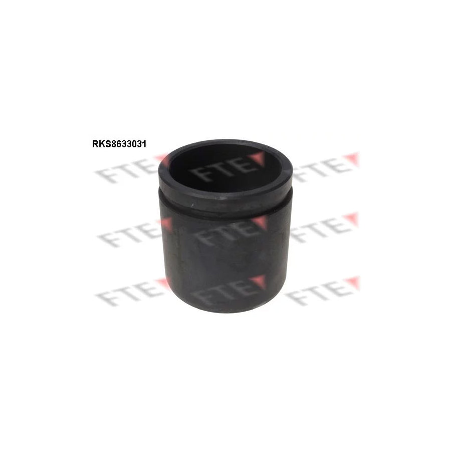 FTE Rks8633031 Piston, Brake Caliper