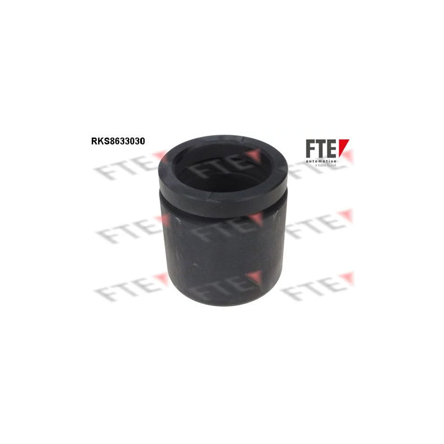 FTE Rks8633030 Piston, Brake Caliper