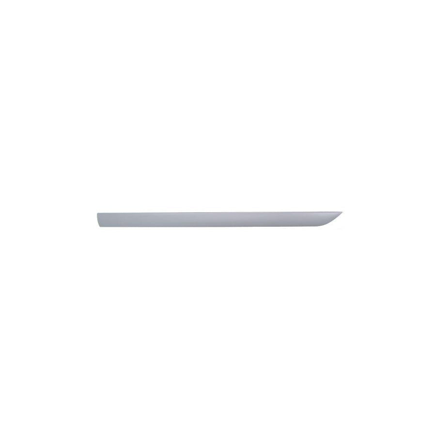 Blic 5703-04-2532576P Door Molding for Ford Focus
