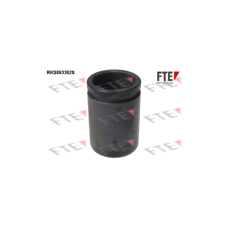 FTE Rks8633028 Piston, Brake Caliper