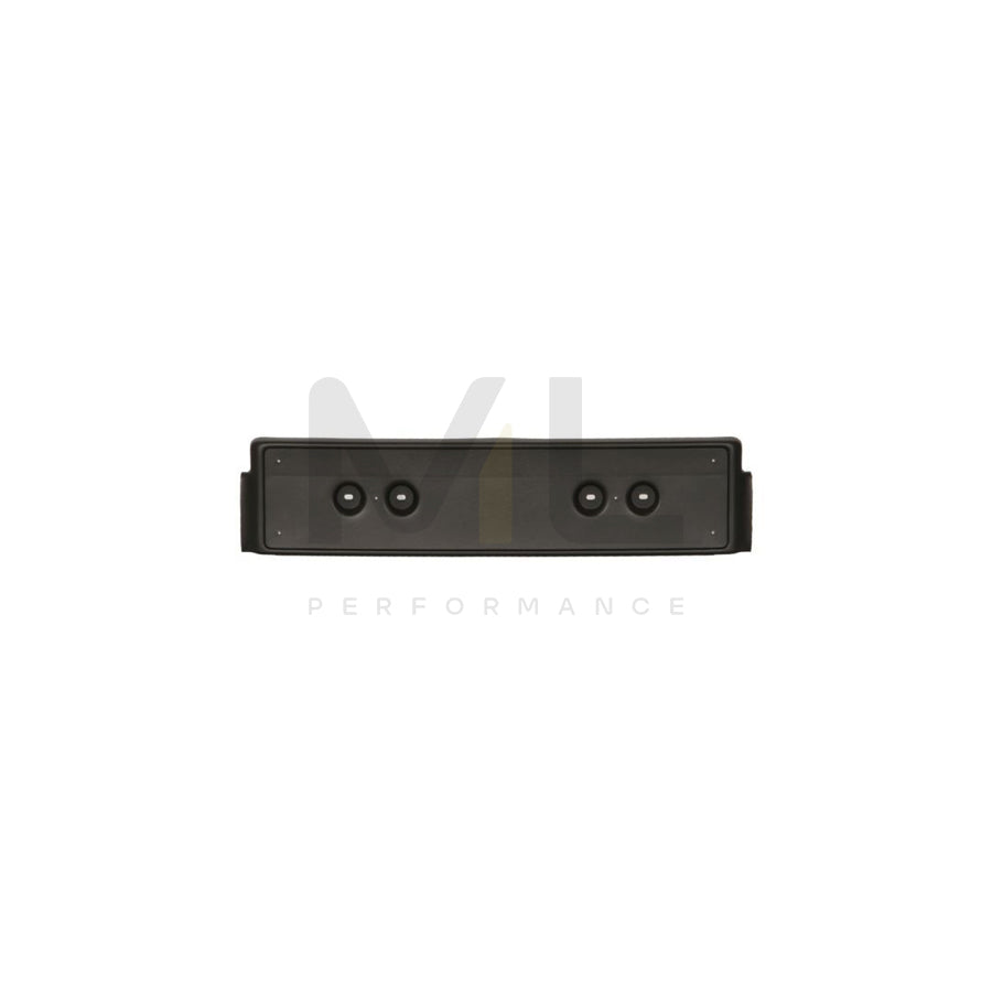 BLIC 6509-01-0017920P Number plate holder Front, Black, frameless